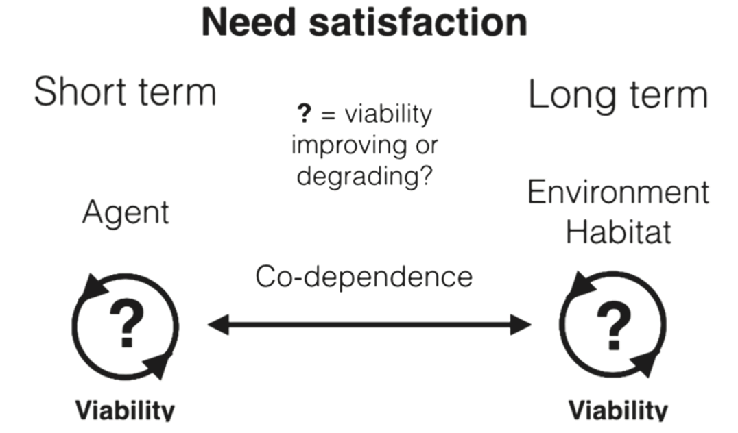 Need satisfaction infographic - Core cognition